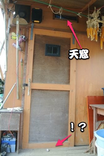 正月早々なんで躊躇っていたネタ_c0063348_17292419.jpg