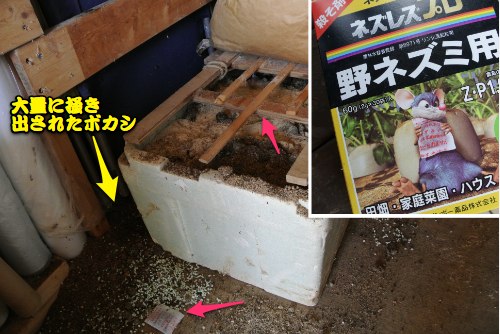 正月早々なんで躊躇っていたネタ_c0063348_17292666.jpg