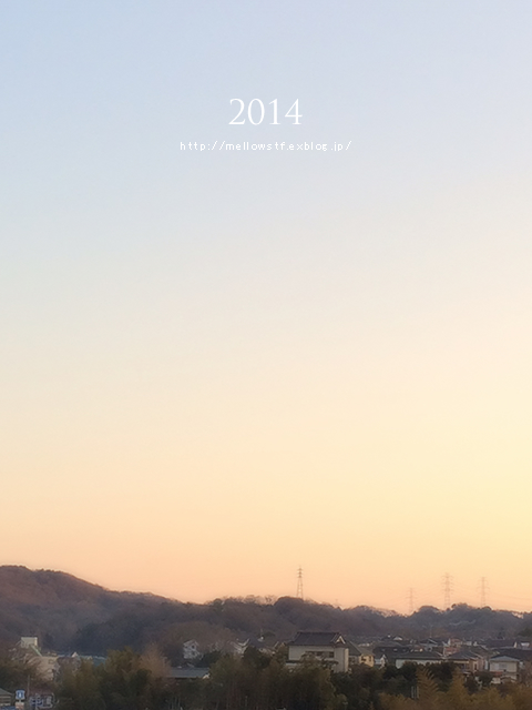 2014年 はじまり、いろいろ。_d0124248_20290242.jpg