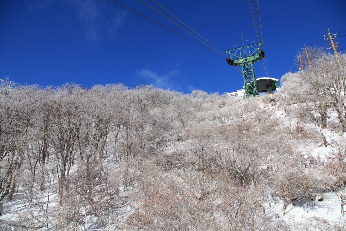 大分・熊本の旅４　別府ロープウェイへ_d0107660_193655.jpg