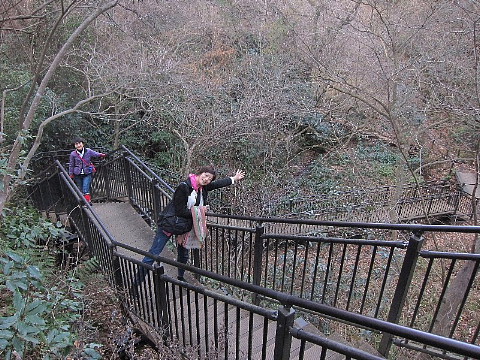 年賀状ウォッチング。_b0141773_02853.jpg