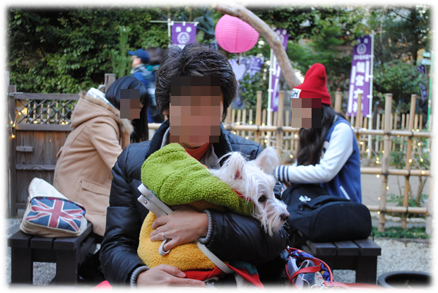 b0242873_01333231.png
