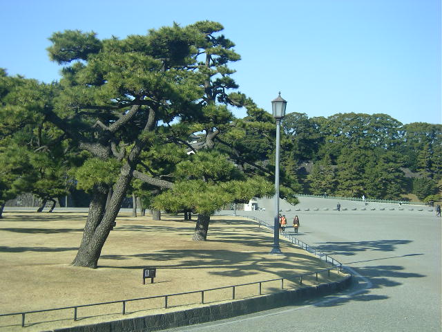 初めてのはとバス体験_c0326874_13222727.jpg