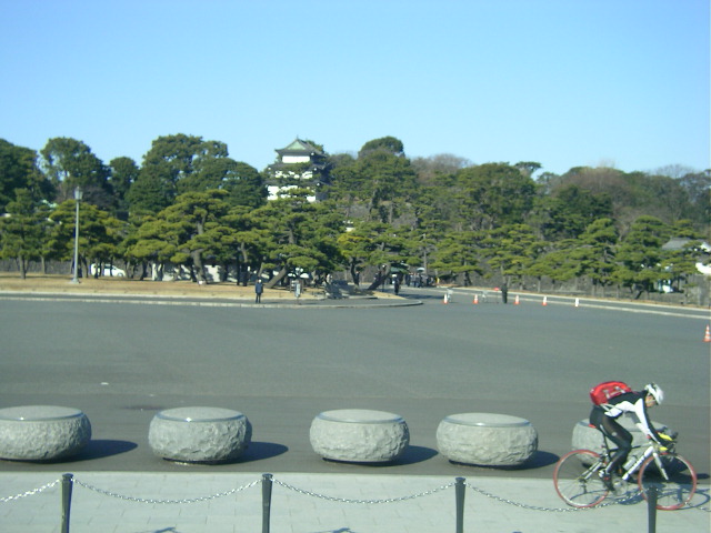 初めてのはとバス体験_c0326874_1328483.jpg