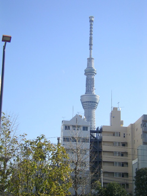 初めてのはとバス体験_c0326874_13431071.jpg