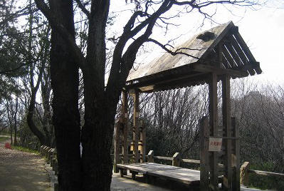 c0229483_2213735.jpg