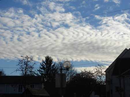 a0247585_28231.jpg