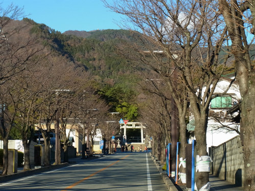 c0168891_1594215.jpg