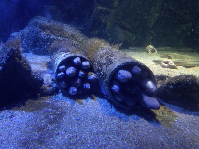 e0219497_23391612.jpg