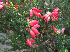 c0117898_17163507.jpg