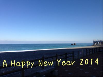 謹賀新年2014☆_d0235898_1347444.jpg