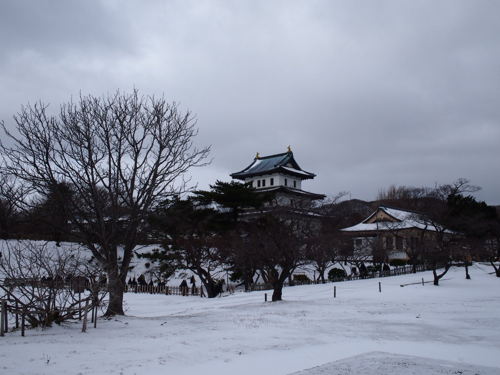 2014新年の旅18「松前-江差-函館」その1~今年は松前町役場で集合~_f0276498_22504837.jpg