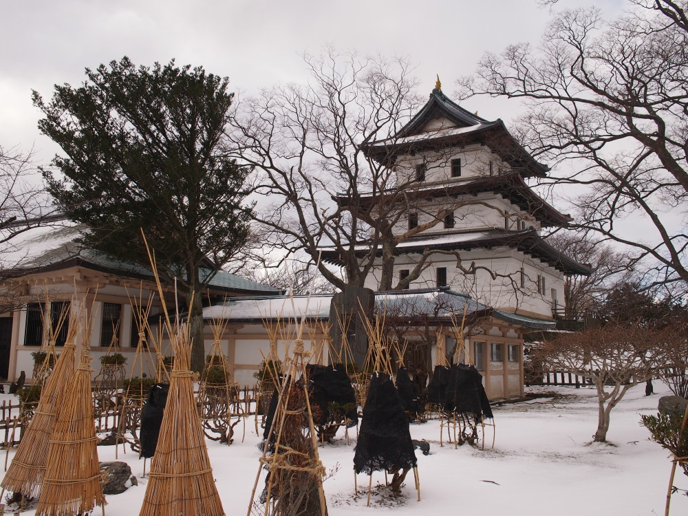 2014新年の旅18「松前-江差-函館」その1~今年は松前町役場で集合~_f0276498_22565218.jpg