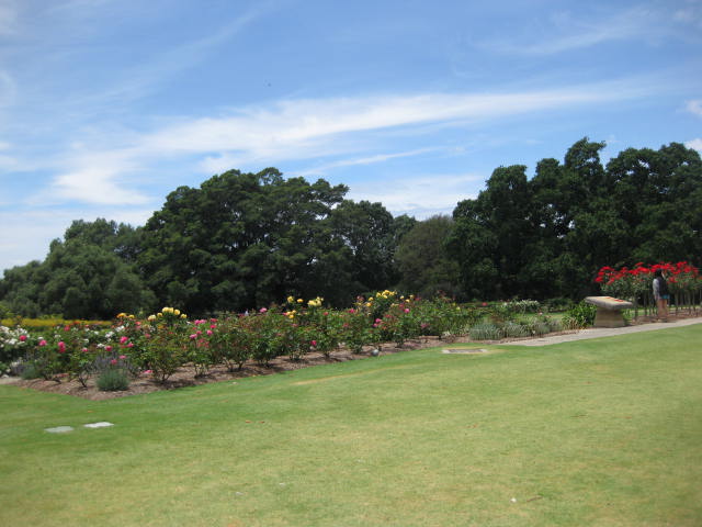 a0224502_21495427.jpg