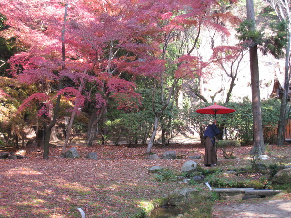 上賀茂神社(かみがもじんじゃ)③_d0287413_10292442.jpg