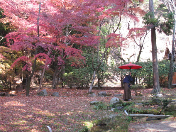 上賀茂神社（かみがもじんじゃ）③_d0287413_10292442.jpg