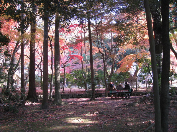 上賀茂神社（かみがもじんじゃ）③_d0287413_10293714.jpg