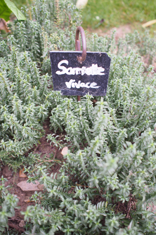 パリのSaint James Paris - Relais et Chateauxへ!_d0063314_23174487.jpg