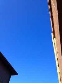 いいなぁ!と思う香りの成分はカラダが求めてる☆ _c0007919_9234067.jpg