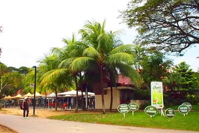 c0258123_01191651.jpg