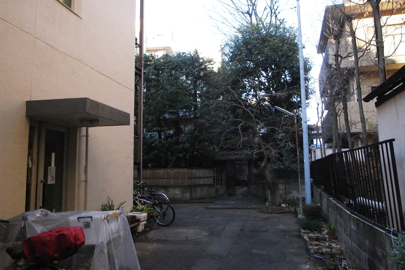d0082324_15511522.jpg