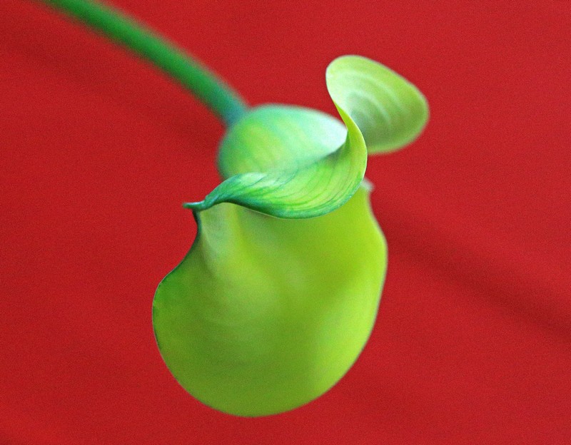 c0104227_20183277.jpg