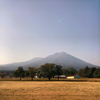 a0113431_9224034.jpg