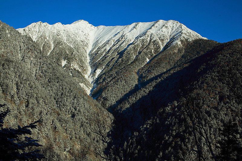 c0313231_17411149.jpg