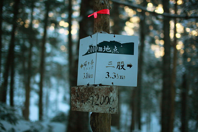 c0313231_17442136.jpg