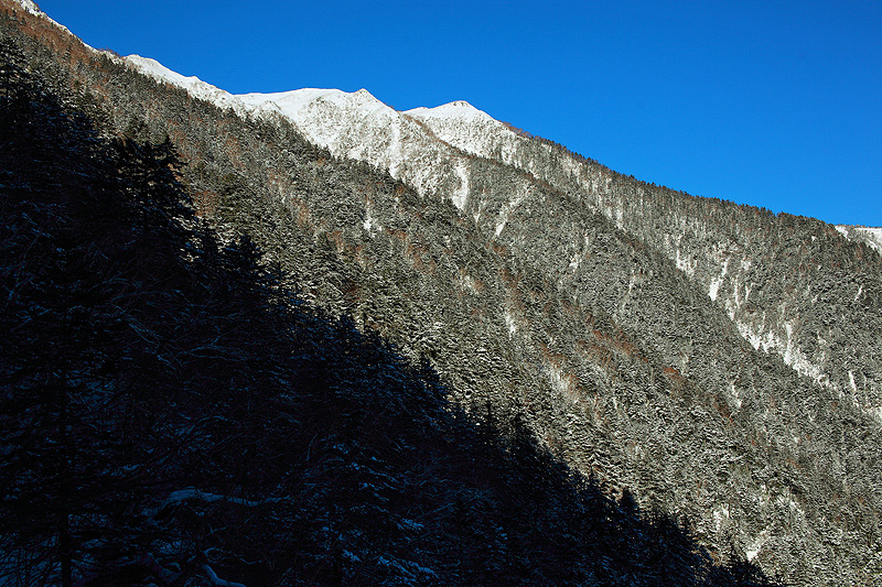 c0313231_17463218.jpg