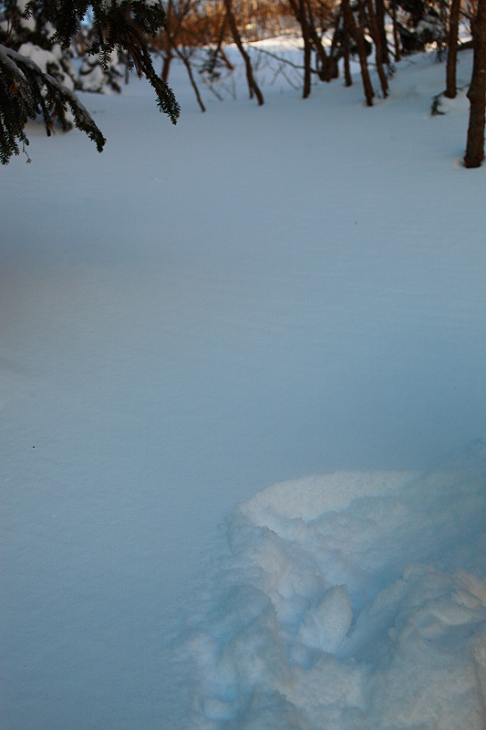 c0313231_17473810.jpg