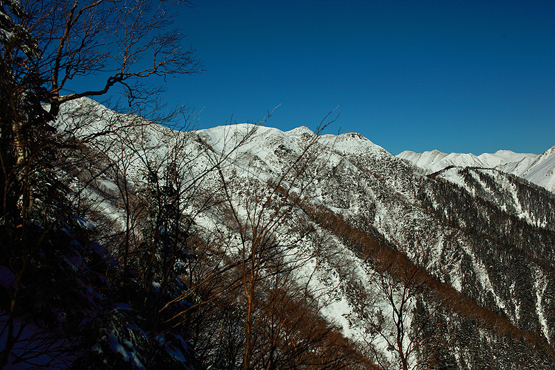 c0313231_17482949.jpg