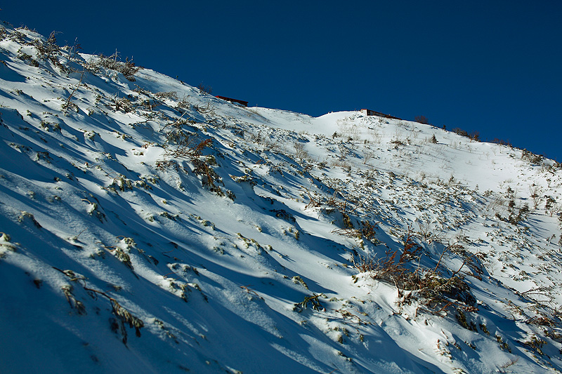 c0313231_17493948.jpg