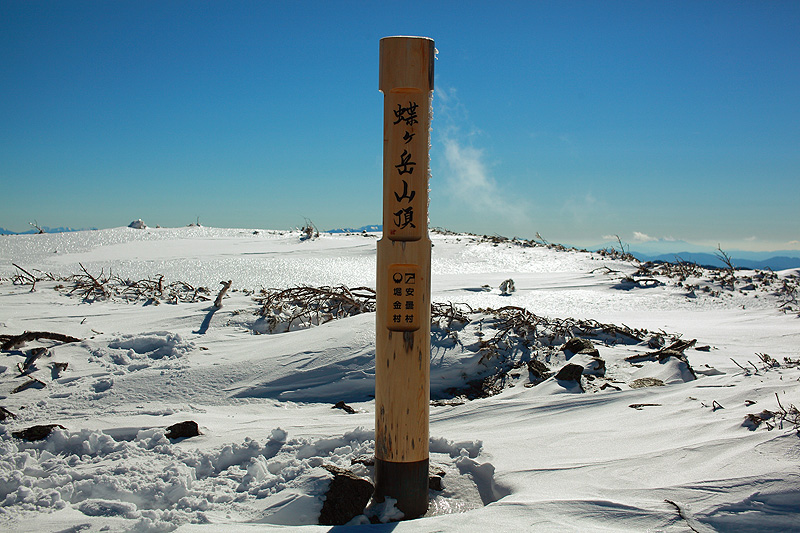 c0313231_1753169.jpg