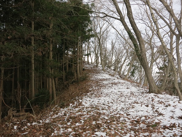 f0003138_12153669.jpg