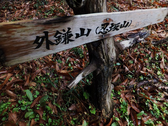d0048350_19432110.jpg