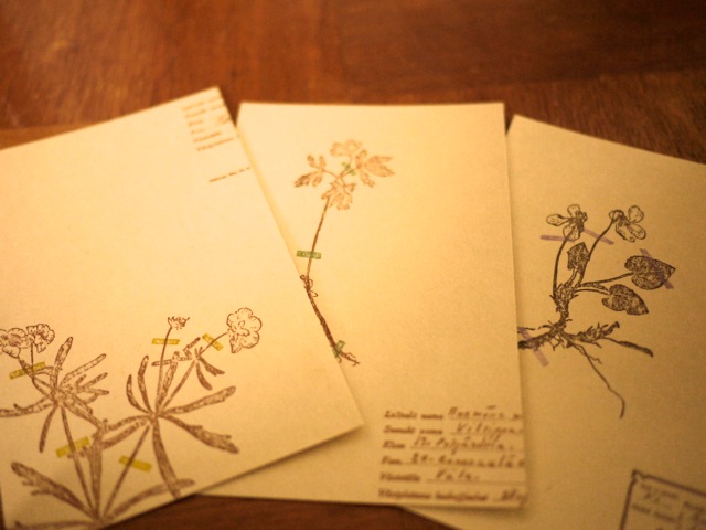 出展者のご紹介4 botaniko pressさん。_e0060555_0154924.jpg