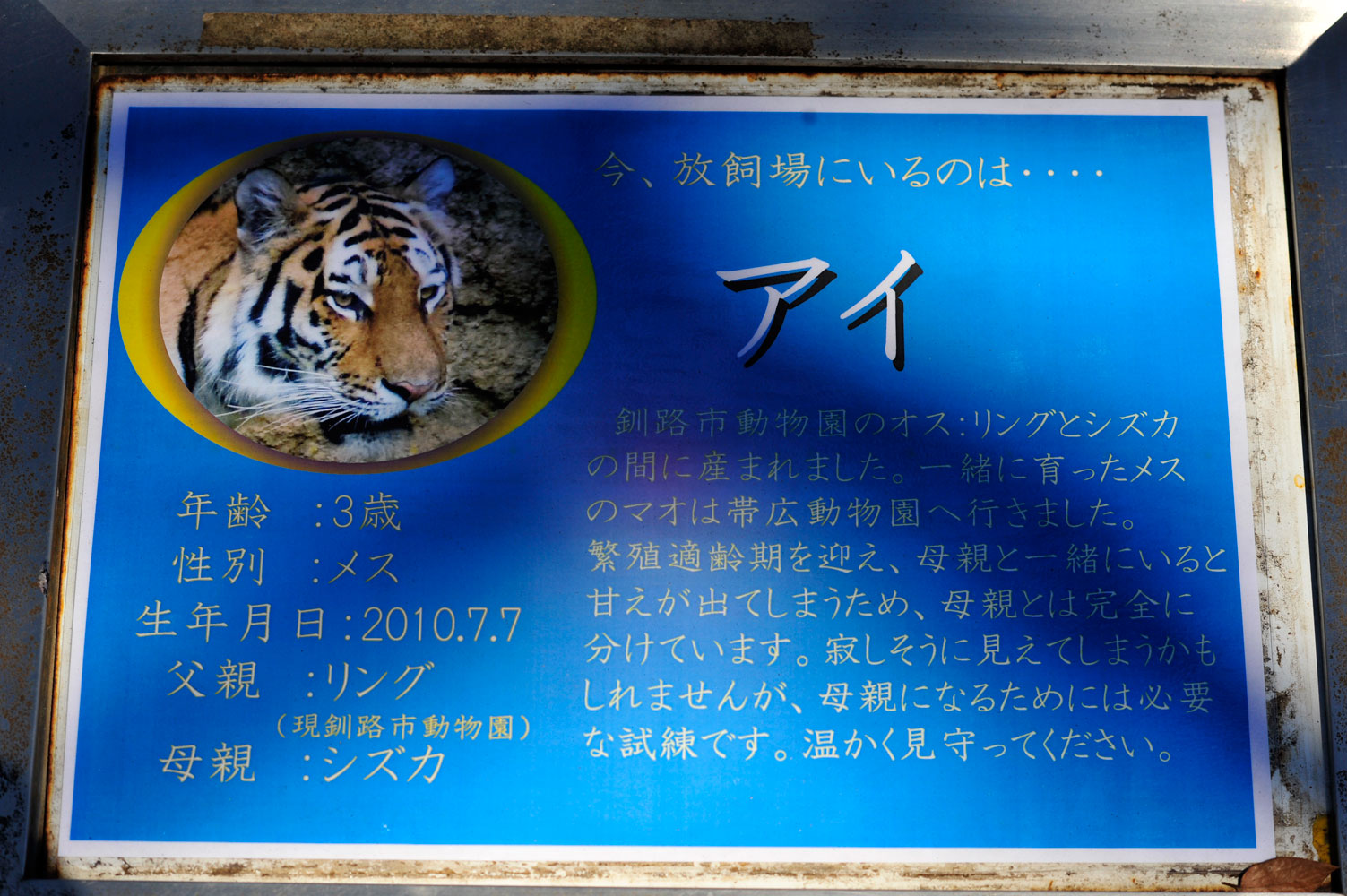 b0023856_723497.jpg