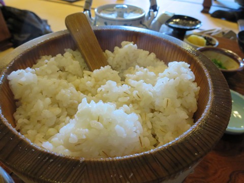 【静岡市ぶらぶら⑨丸子宿の丁子屋でとろろ汁】_c0042960_20385683.jpg