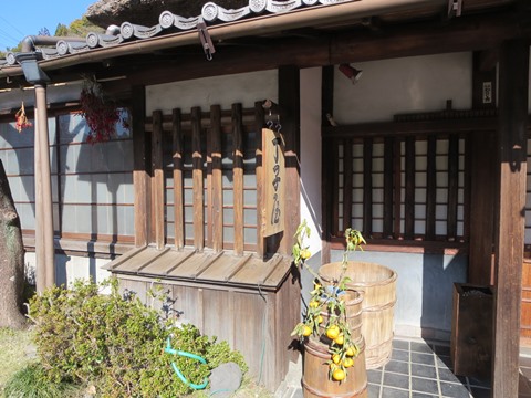 【静岡市ぶらぶら⑨丸子宿の丁子屋でとろろ汁】_c0042960_20435788.jpg