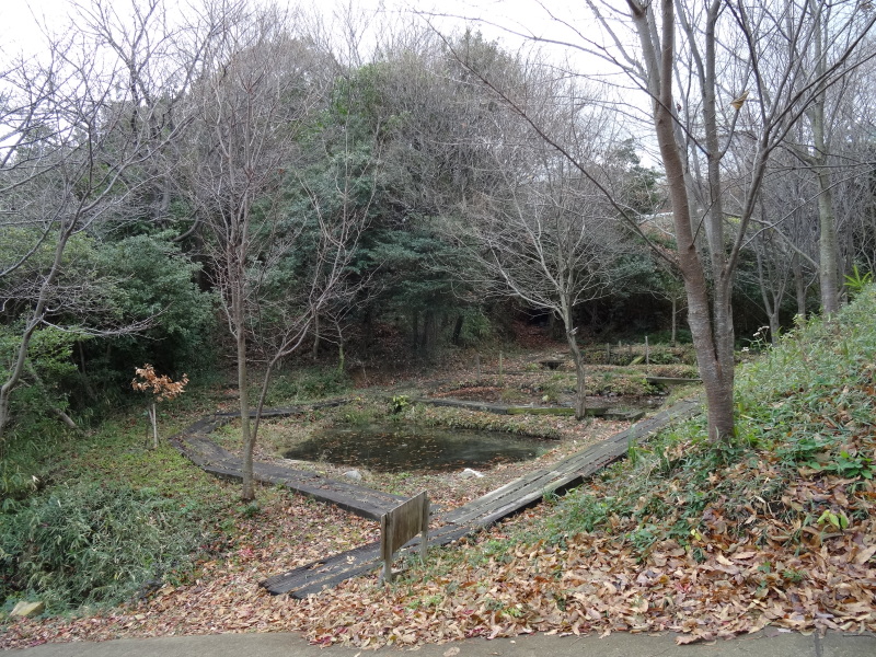 c0108460_18400690.jpg