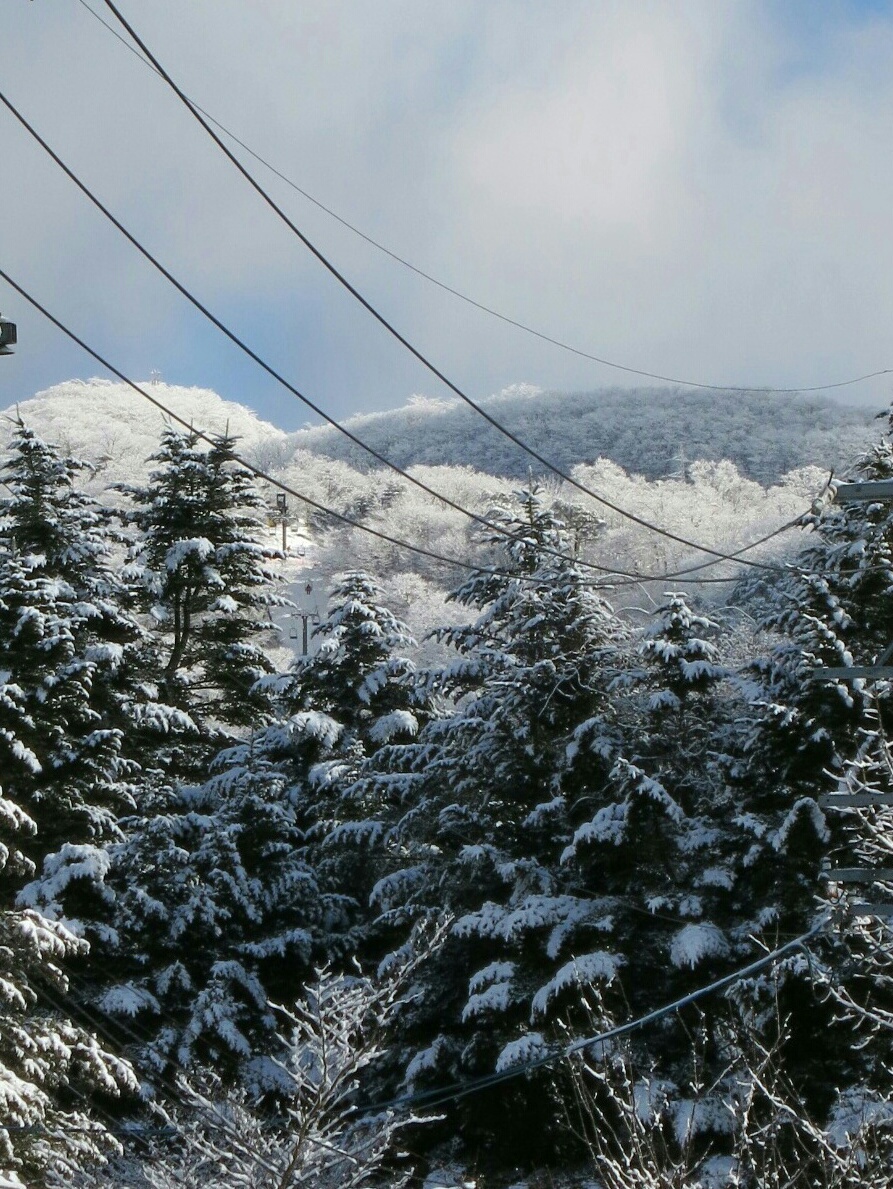 f0236260_14341745.jpg