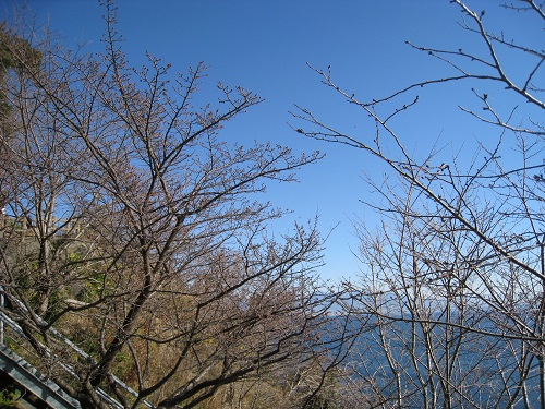 d0164761_8424647.jpg