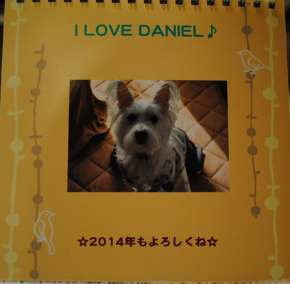 b0242873_19222313.png