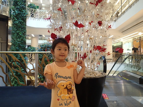 a0002177_1314149.jpg