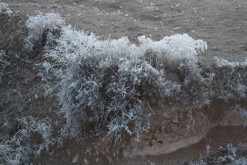 霧氷がきれい_b0091783_3422183.jpg