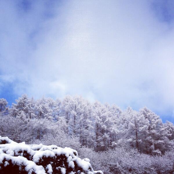 in Snowdome_d0028589_22132219.jpg