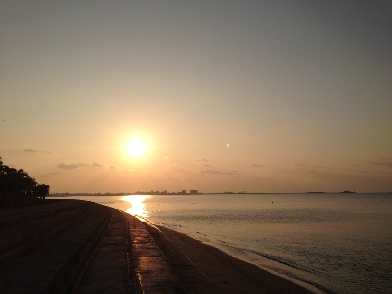 f0244291_21522849.jpg