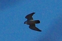 b0028598_19511686.jpg