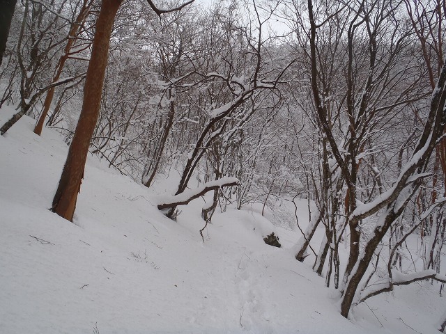 c0147398_13543224.jpg